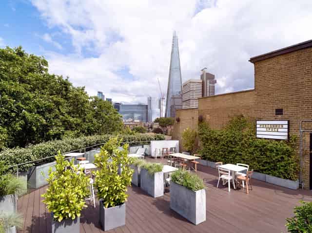 Roof Terrace 