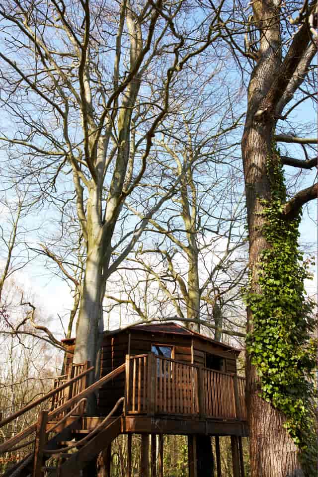 New Place Hotel - Hampshire