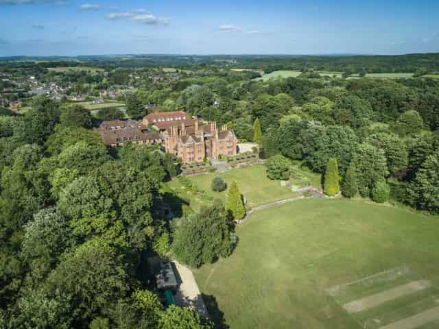 The Cricket Pitch