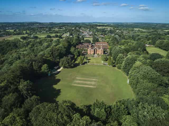 The Cricket Pitch