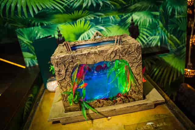 Tropical aquarium centerpiece at Laki Kane for themed events and immersive experiences.