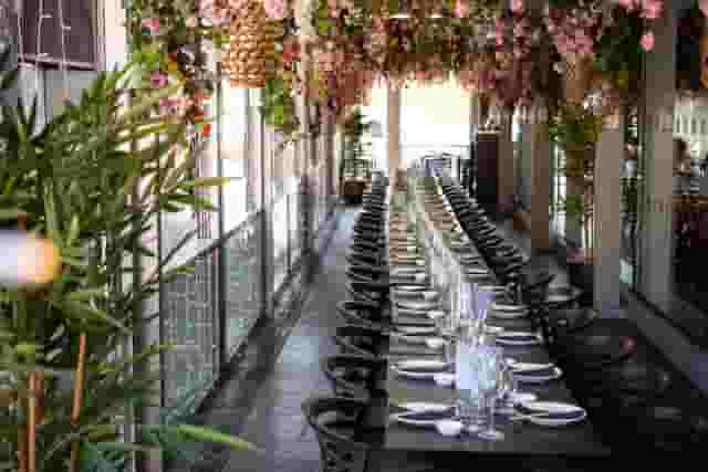 Cherry Blossom Private Terrace