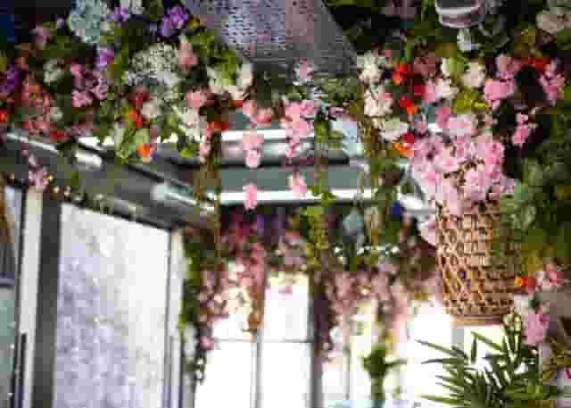 Cherry Blossom Private Terrace
