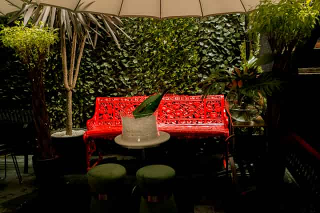 Courtyard/Garden