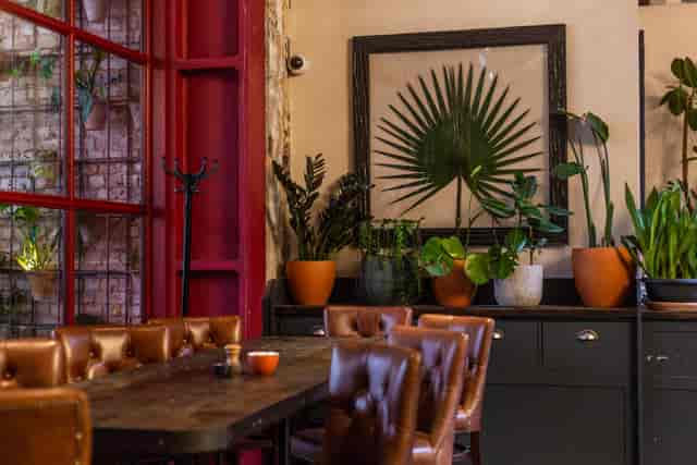 Stylish meeting space at Sophie's Bar with leather seating and greenery for gatherings.
