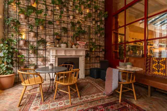 Cozy meeting space with greenery, ideal for team gatherings and creative workshops.