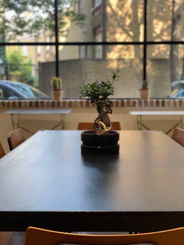 Pod 4