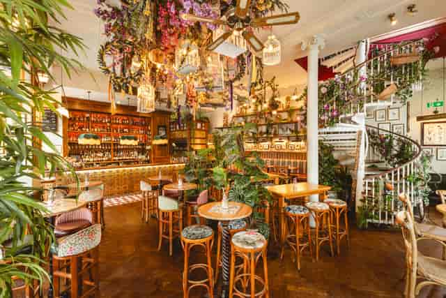 Mr Fogg's House of Botanical - image 3