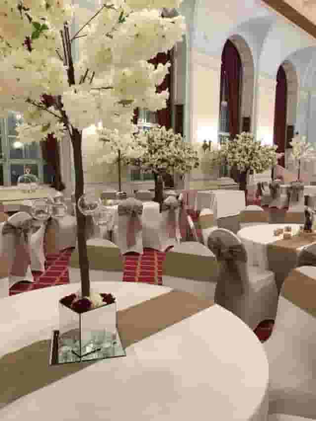 Pearce Suite