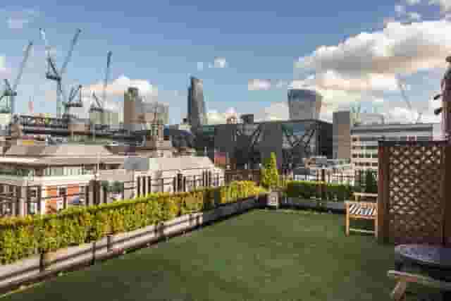 Roof Terrace
