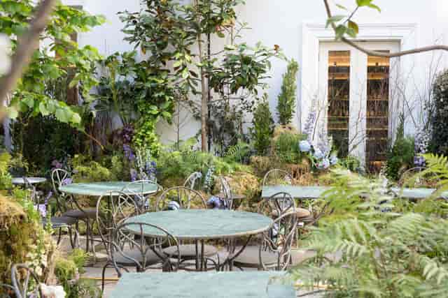 Outdoor venue at Petersham Nurseries, featuring lush greenery for events and gatherings.