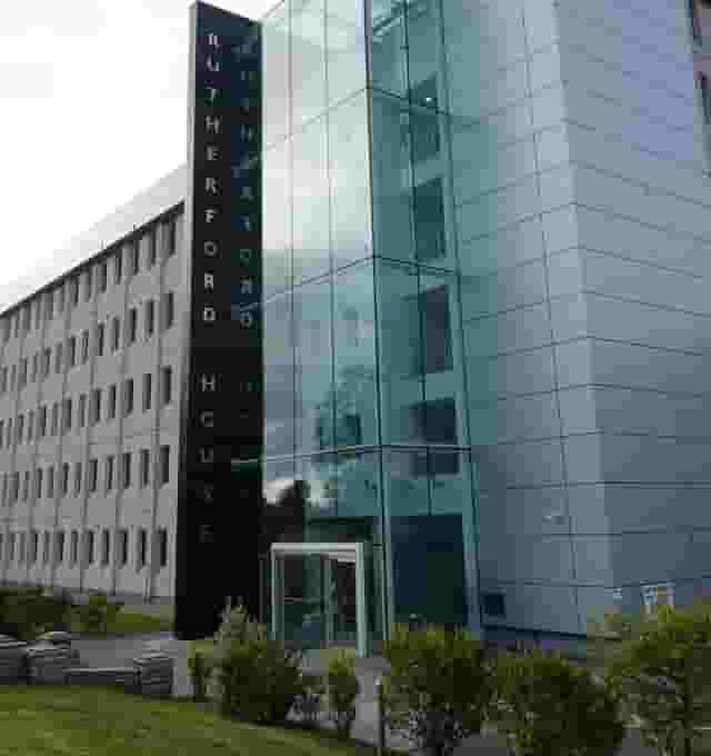 Magenta Suite