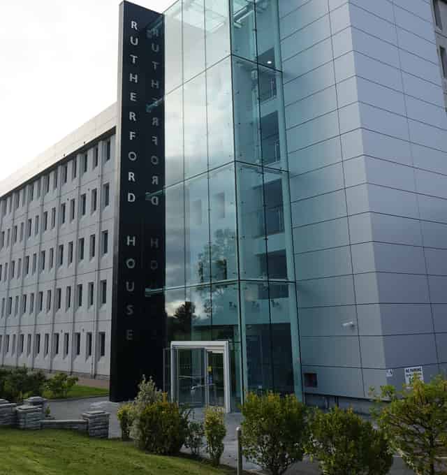 Magenta Suite