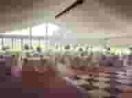 Greater London