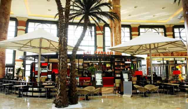 Vibrant café venue with palm trees for networking events in Las Iguanas Manchester.