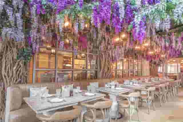 The Blossom Room 