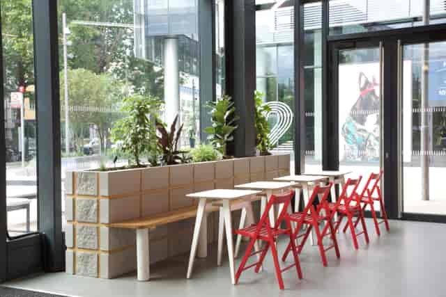 Modern reception area with greenery, ideal for networking events and casual meetings.