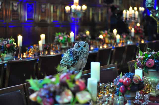 Corporate Event