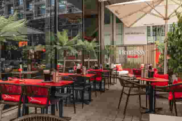 The Terrace