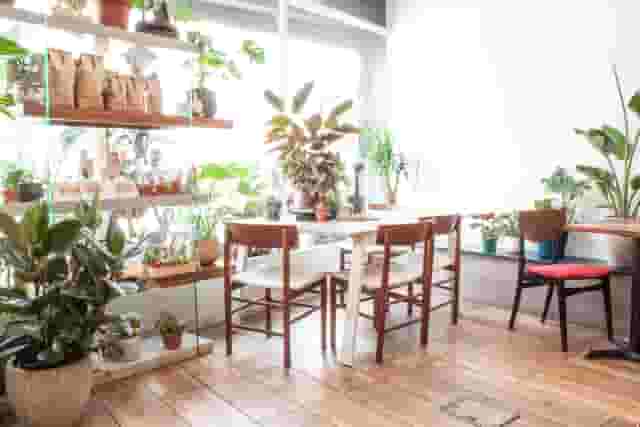 The Travel Café