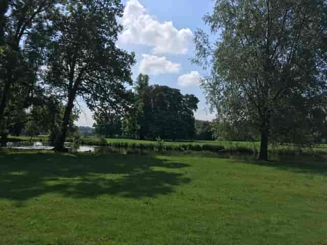 Woodland Lodge outdoor venue with lush greenery, ideal for events and retreats.