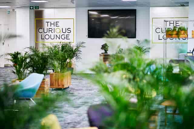 Modern meeting space with greenery, ideal for networking and presentations.