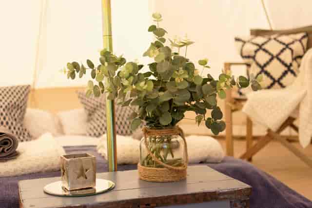Glamping field event space with rustic table and cozy seating for intimate gatherings.