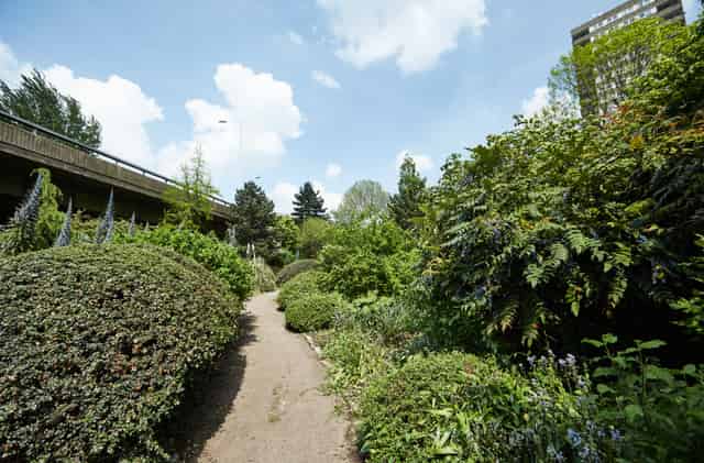 Urban Areas