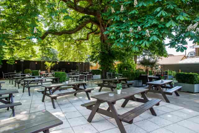 Spacious garden venue with lush trees for casual gatherings and summer parties.