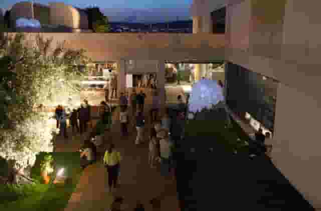 Olive Tree Patio