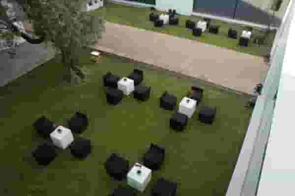 Olive Tree Patio 