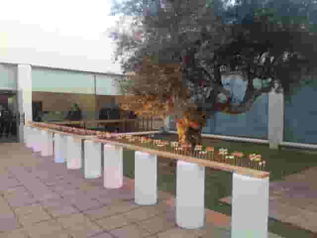 Olive Tree Patio