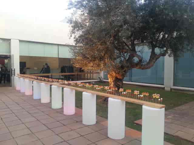 Olive Tree Patio at Fundació Joan Miró, elegant outdoor event space for gatherings.