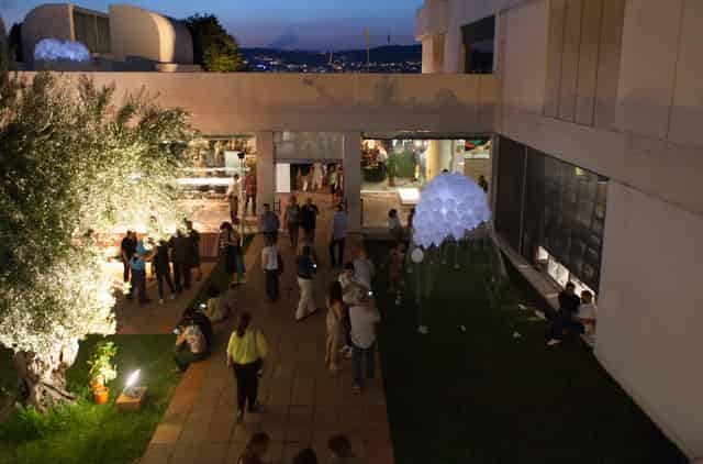 Olive Tree Patio
