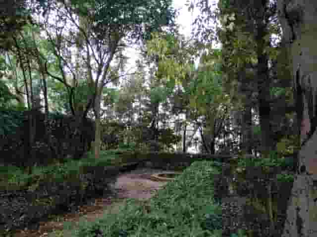Cypress Garden and Workshop Space