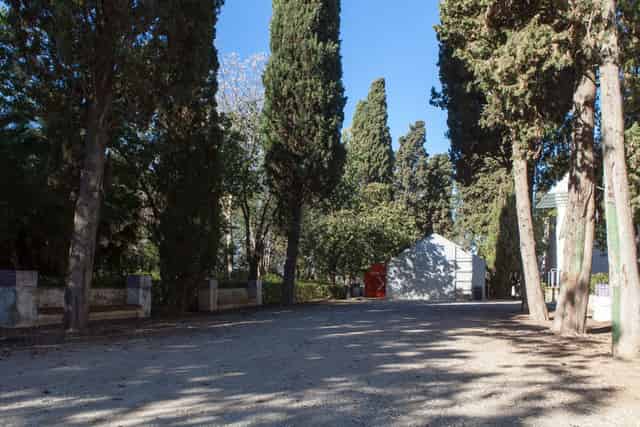 Cypress Garden and Workshop Space