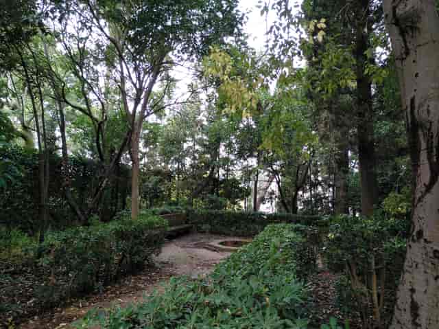 Cypress Garden at Fundació Joan Miró, perfect for intimate gatherings and team-building events.