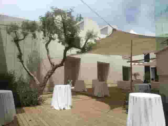 Carob Tree Patio