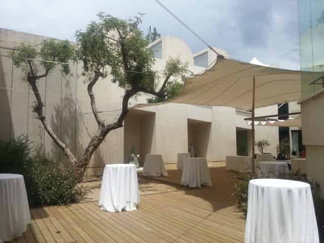 Carob Tree Patio