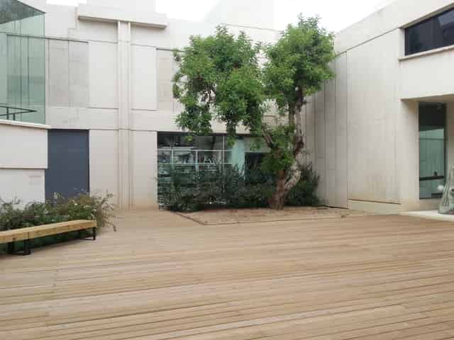 Carob Tree Patio