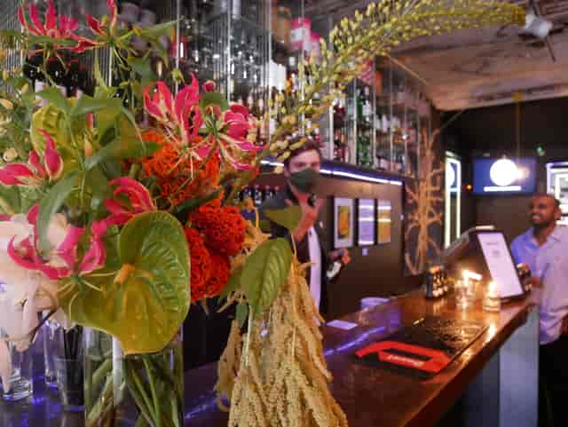 Vibrant bar venue in Sugarlandia with lush floral decor for networking events.