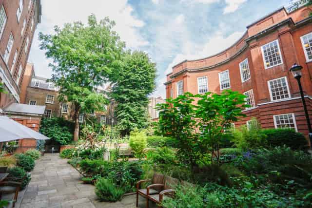 The Garden