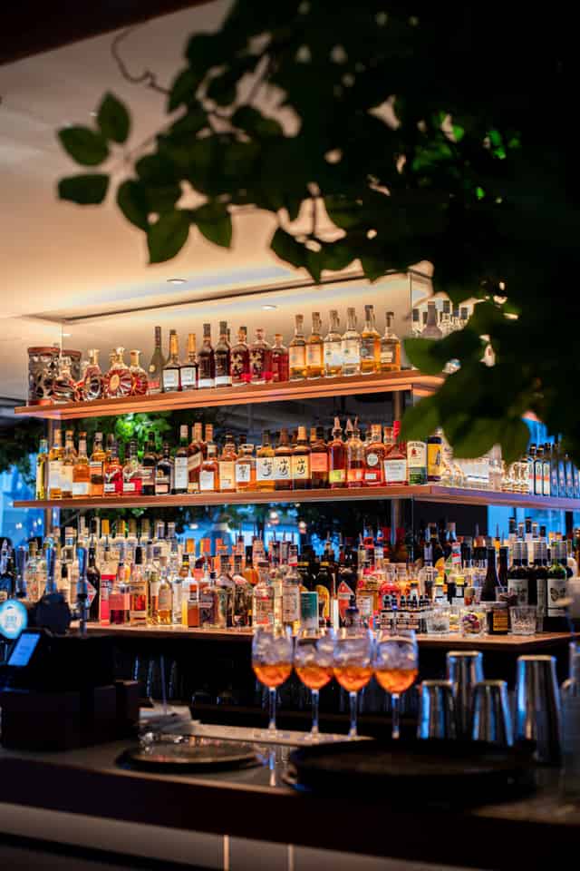Drinks Reception