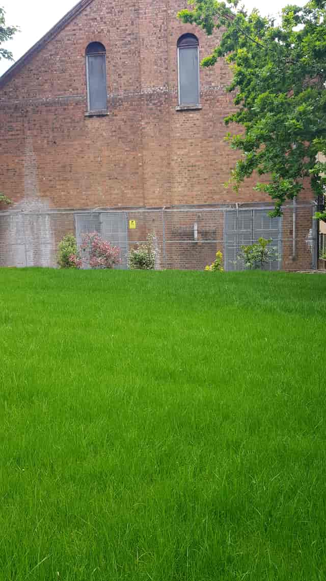 Vibrant green lawn in Hargrave Hall garden, perfect for outdoor events and gatherings.