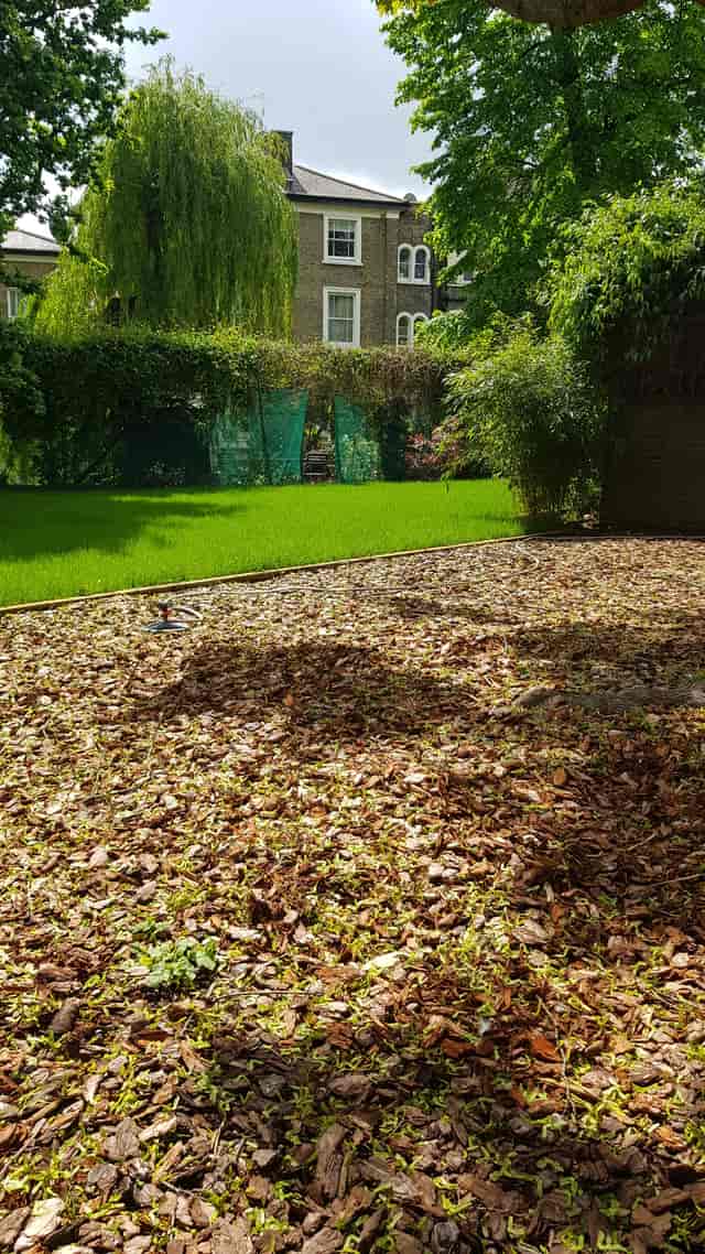 Lush garden in Hargrave Hall, perfect for events and gatherings.