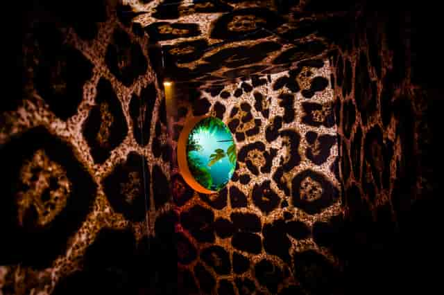 "Wyld Club corridor with animal print walls, ideal for themed events and meetings."