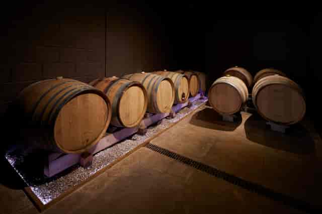 Barrel Room at London Cru Winery with wooden barrels, perfect for wine tastings and events.