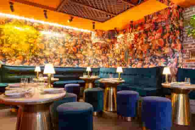 Meraki London