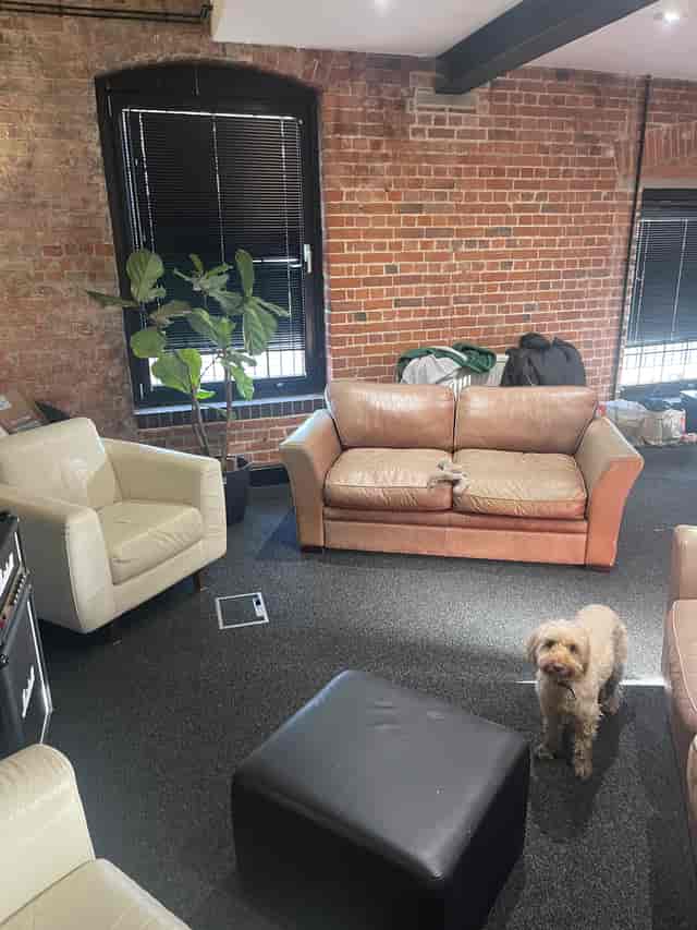 Cozy meeting space with sofas and exposed brick, perfect for brainstorming sessions.