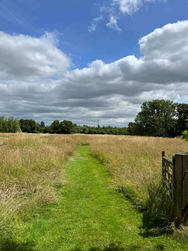 Meadows